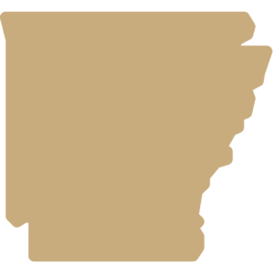 Arkansas State Silhouette - Gold